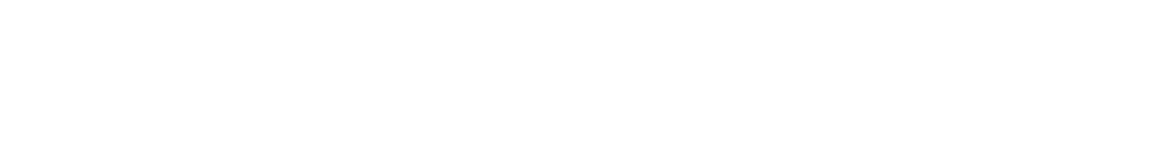 Wise Technologies